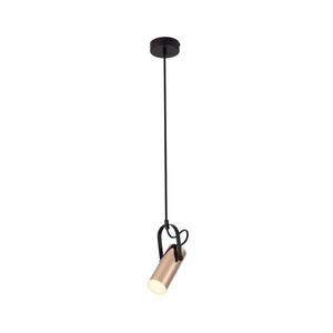 Rabalux 6429 - LED Luster na lanku RAVEN LED/5W/230V 6429 vyobraziť