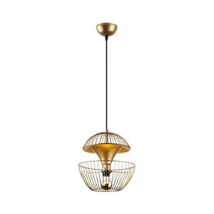 Luster na lanku TNDER 1xE27/40W/230V zlatá 942FLG1253 vyobraziť