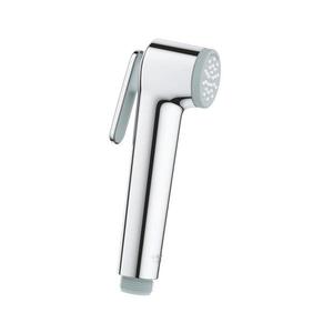 GROHE 26506000 - Ručná sprcha TEMPESTA-F 36 mm lesklý chróm 26506000 vyobraziť