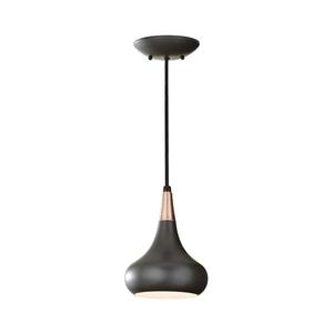 Elstead Feiss FE-BESO-P-S-DBZ - Závesný luster BESO na lanku 1xE27/60W/230V, pr. 17, 9 cm, čierna/medená FE-BESO-P-S-DBZ vyobraziť