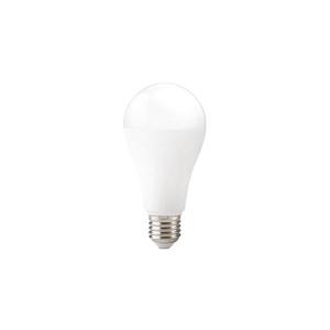 LED žiarovka GS E27/22W/230V 6500K 004300 vyobraziť