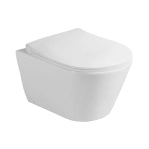 Sapho - Závesné WC s bidetovou sprchou AVVA CLEANWASH keramika/biela 100312 vyobraziť