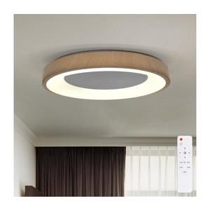 Brilagi - stmievateľné LED svietidlo DORIA LED/60W/230V 3000-6500K priemer 60 cm + diaľkové ovládanie WO800-OEM10-60 vyobraziť