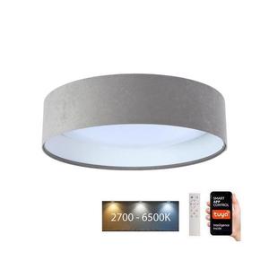 LED Stropné svietidlo SMART GALAXY LED/24W/230V Wi-Fi Tuya šedá/biela + DO vyobraziť
