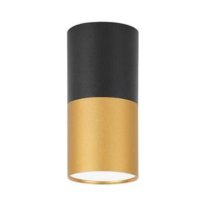 Stropné svietidlo TUBA 1xGU10/15W/230V 2281728 vyobraziť
