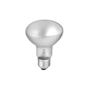 Priemyselná reflektorová žiarovka R63 E27/40W/230V 2700K R63E27/40 vyobraziť