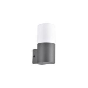 Vonkajšie nástenné svietidlo DALLAS 1xE27/12W/230V IP44 antracit 315960 vyobraziť