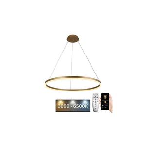 LED Stmievateľný luster na lanku LED/55W/230V 3000-6500K + diaľkové ovládanie vyobraziť