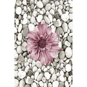 Koberec Bloom 60x100 cm šedý/ružový vyobraziť