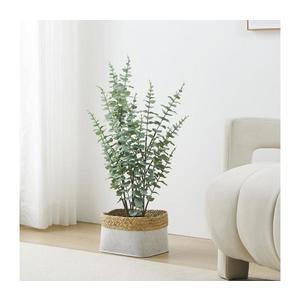 Eglo 428378 - Umelá rastlina v kvetináči TOBETSU 76x25, 5 cm 428378 vyobraziť