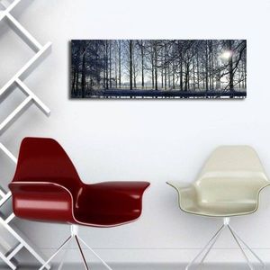 Obraz s LED osvetlením ZIMNÁ KRAJINA 37 30 x 90 cm vyobraziť