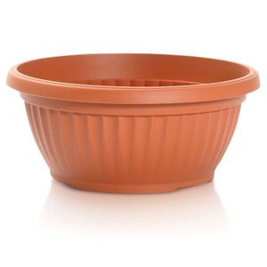 Misa Terra terakota vyobraziť