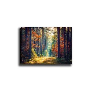 Obraz na plátne Zázračný les 50x70 cm vyobraziť
