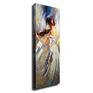 Obraz na plátne Husľová krása PC206 30x80 cm vyobraziť