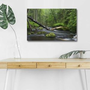 Obraz s LED osvetlením POTOK V LESE 03 45 x 70 cm vyobraziť