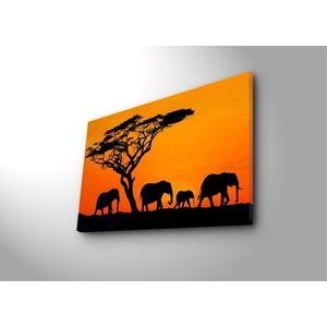 Obraz s LED osvetlením SLONIE PUTOVANIE 53 45 x 70 cm vyobraziť