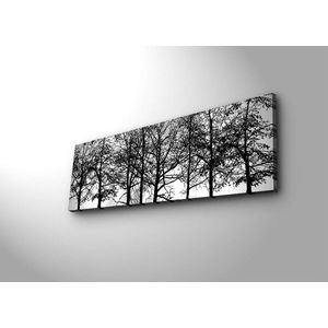 Obraz s LED osvetlením VETVY STROMOV 72 30 x 90 cm vyobraziť