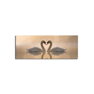 Obraz SWANS 30x90 cm béžový vyobraziť