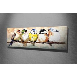 Obraz Vtáky 30x80 cm vyobraziť