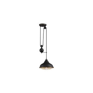 Westinghouse 61249 - Luster na lanku CHAVES 1xE27/60W/230V 61249 vyobraziť