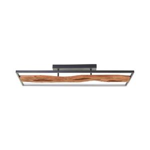 Brilliant - LED Stmievateľné stropné svietidlo CHAUMONT LED/48W/230V G80114/76 vyobraziť