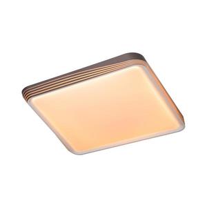 Rabalux 71166 - LED stropné svietidlo DRUZOR LED/40W/230V 3000K 71166 vyobraziť