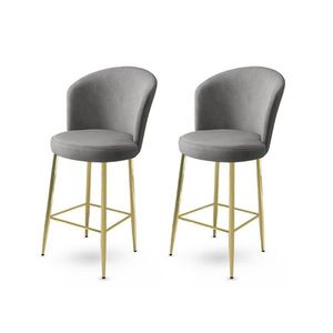 Bar Stool Set (2 Pieces) Fora - Grey, Gold vyobraziť
