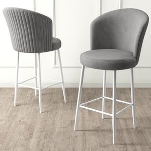 Bar Stool Set (2 Pieces) Fora - Grey, White vyobraziť