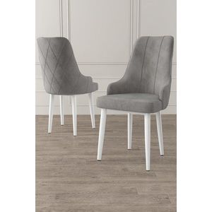 Súprava stoličiek (2 kusy) Trex - Grey, White vyobraziť
