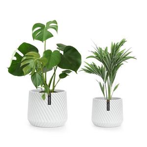 Fox & Fern Heusden, súprava 2 kvetináčov, polyston, vhodný na rastliny, ručná výroba, 3D vzhľad vyobraziť