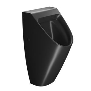 GSI - COUNITY urinál so zakrytým prívodom vody, Rimless, 31x65cm, čierna mat 909726 vyobraziť