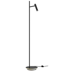 MAYTONI STOJACIA LAMPA, 24/138.7 cm vyobraziť