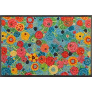 wash+dry ROHOŽKA, 40/60 cm viacfarebná vyobraziť