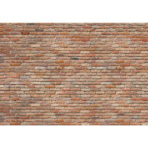 FOTOTAPETA velikost: 368/254 cm vyobraziť
