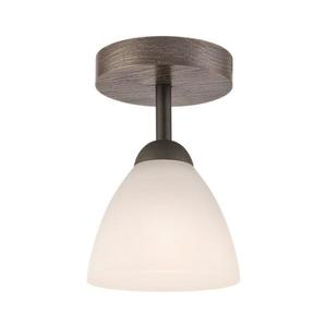 Prisadený luster ADRIANO 1xE27/60W/230V LM 1.55 vyobraziť
