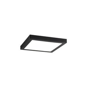 Paulmann 70985 - LED/22W Stropné svietidlo ABIA 230V 70985 vyobraziť