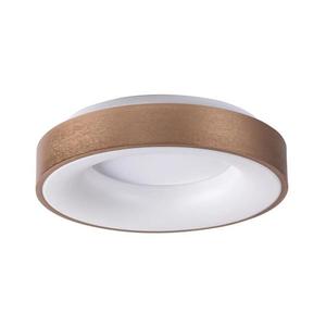 Rabalux 5053 - LED Stropné svietidlo CARMELA LED/50W/230V 5053 vyobraziť