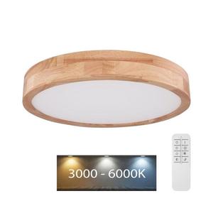Globo 41745-24 - LED Stmievateľné stropné svietidlo RAINER LED/24W/230V + DO 41745-24 vyobraziť