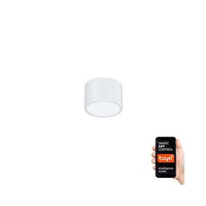 NEO 07024L-15 - LED Stmievateľné stropné svietidlo RONDATE LED/12W/230V Tuya 07024L-15 vyobraziť