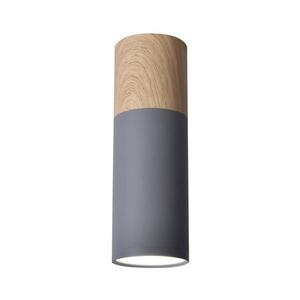 Stropné svietidlo TUBA GU10/15W/230V vyobraziť