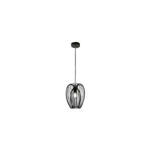 Fabas Luce 3677-45-101 - Luster na lanku CAMP 1xE27/40W/230V čierna 3677-45-101 vyobraziť