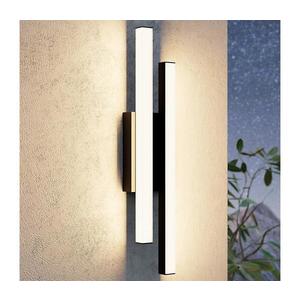 Eglo 900133 - LED Vonkajšie nástenné svietidlo SARRICELLA 2xLED/4, 2W/230V IP55 900133 vyobraziť
