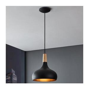 Eglo 900162 - Luster na lanku SABINAR 1xE27/40W/230V pr. 28 cm 900162 vyobraziť