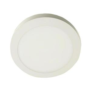 LED Stropné svietidlo LED/12W/230V 3000K biela vyobraziť