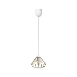 HEXE Luster na lanku CEED GOLD 1xE27/60W/230V pr. 17, 5 cm biela/zlatá 0729 vyobraziť