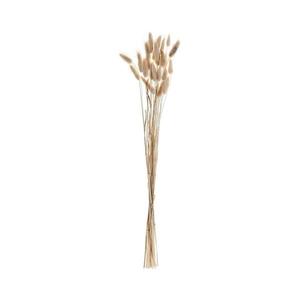 Eglo 428039 - Sušený kvet GUIPOS 60 cm béžová 428039 vyobraziť