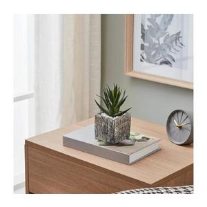 Eglo 428008 - Umelá rastlina v kvetináči CHITOSE 13x9, 5 cm sukulent 428008 vyobraziť