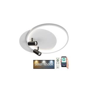 LED Stmievateľné stropné svietidlo LED/65W/230V 3000-6500K biela + diaľkové ovládanie TB1310/WB vyobraziť