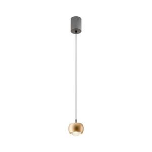 Redo 01-3547 - LED Luster na lanku AVES LED/12W/230V pr. 9, 6 cm CRI 90 zlatá 01-3547 vyobraziť