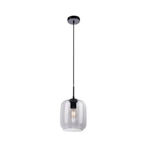 Paul Neuhaus 2002-25 - Luster na lanku SHITAKE 1xE27/10W/230V pr. 20 cm dymová 2002-25 vyobraziť